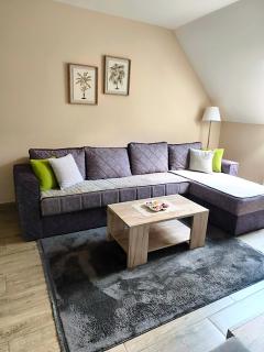 Apartman Maksimović Divčibare - 5