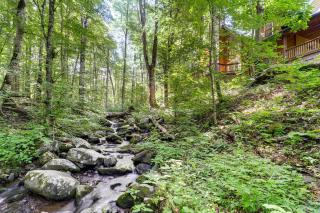 Creekside Mountain Cabin in Rural Dark-Sky Country - 9