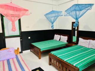 Anjana Guest - 2