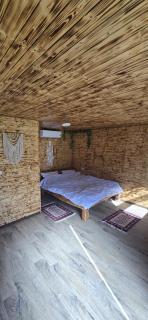 lazy trout house - 9