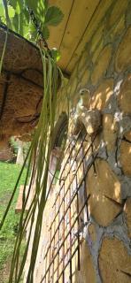 lazy trout house - 1