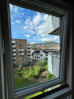 New, cozy apartment with private balcony - 7