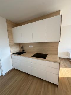 Apartment in the city, Slezská Ostrava - 2