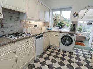 Tudor Rose - 3