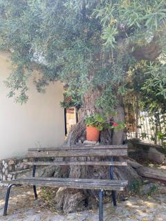 Villino Eurako, villa in riserva naturale in montagna, a 5 Min dal mare - 2