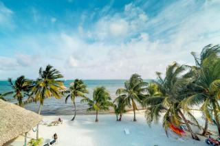 Caribbean Lily @ Caribe Island - 7