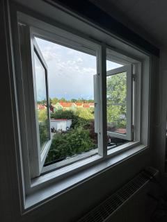 A cozy apartment surrounded by greenery - 5