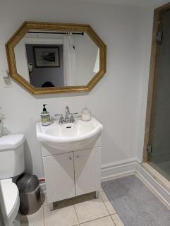 King Size In-Suite Basement - 3