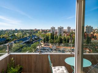Luxury renovated apartment with terrace in Madrid - 8
