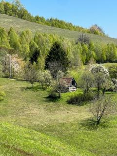 Sub Stele Chalets - 5