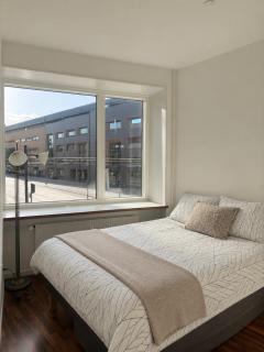 NØ -Central Apartment Odense C - 4