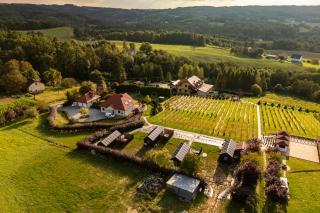 Domki Winnica Maria Anna - 6