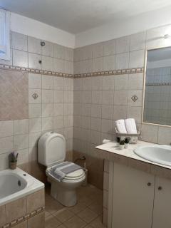Eri's House - Chrysoupolis - 1