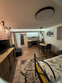 Apartament M1 w centrum Wiela - 0