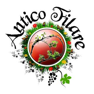 B&B Antico Filare - 9
