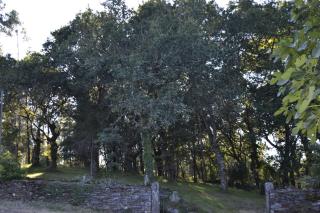 A Pena de Augasantas - Oca de Abaixo - 2