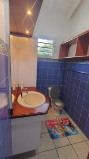 Villa des Marsouins avec piscine, Gourbeyre - 4