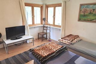 Cosy, peaceful cabin in fantastic nature! - 7