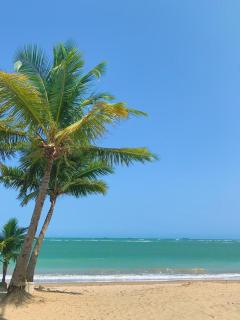 casa de praia de barra do gil - 0