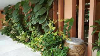 Juntima Place at Amphawa - 3