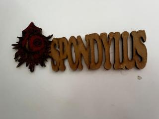Habitación Spondylus - 9
