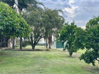 Hunter Valley 2 x Homes Pets Heated Pool - Whittingham - 2