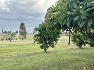 Hunter Valley 2 x Homes Pets Heated Pool - Whittingham - 3
