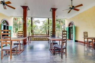 Parrot Room at Mahogany Hall -Gold Standard Certified - 5