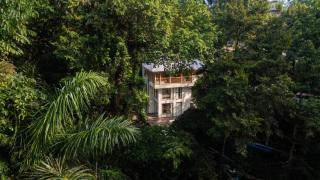 Bamboolina Villa - Jungle Retreat with River Access - 9