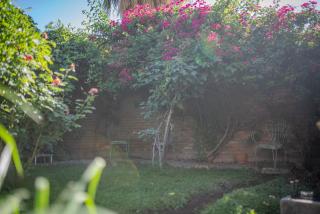 Casa Jade hogar familiar con jardín y parrilla - 4