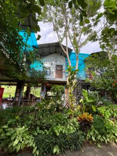 Phong Nha An An Homestay - 1