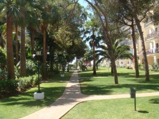 The Terrace of Puerto Banus Beach - 1