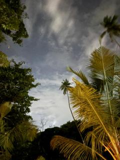 Jungle Edge villa Weligama - 5