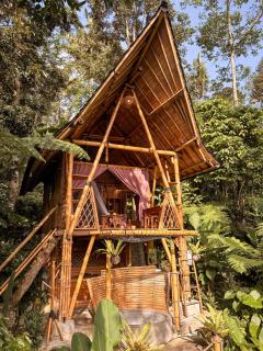 Alasari Hidden Bamboo Retreat in the Jungle - 7