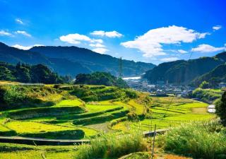 Gardens Mihama - Vacation STAY 46935v - 4