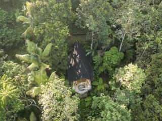 Alasari Hidden Bamboo Retreat in the Jungle - 8