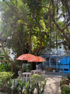 Banyan House Samui bed and breakfast (Adult Only) - 6