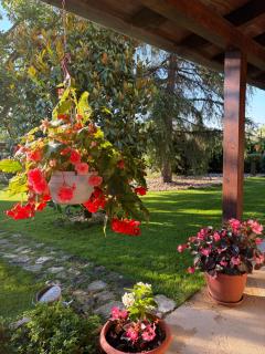 Assisi, la Noce - Assise - 6
