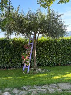 Assisi, la Noce - Assise - 5