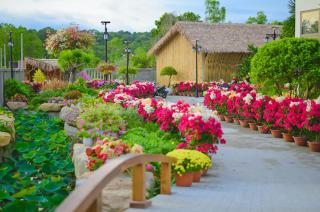 Greenlife Village Phú Quốc - 1