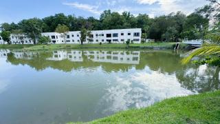 Lovely Luxury Lakeview - 7