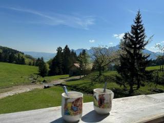 Bachwagnerhof - 4