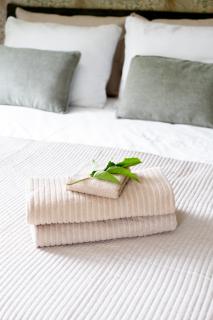 B&B Stinzenflora - Gezellige accommodatie tussen groen en historie - 1