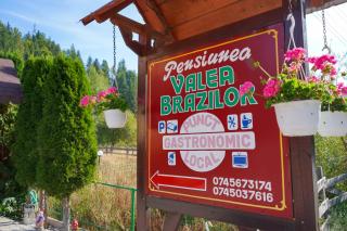 Pensiunea Valea Brazilor - 2