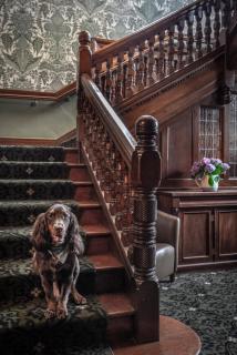 Woodlands Park Hotel - 7