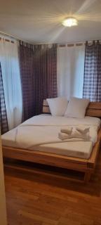Sofia Apartment - Aare Jungfrau AG - 6