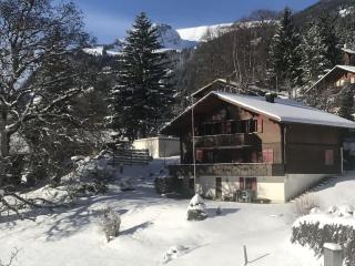 Bussalp Apartment - Aare Jungfrau AG - 0
