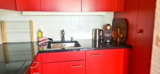 Bussalp Apartment - Aare Jungfrau AG - 3