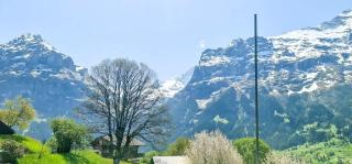 Bussalp Apartment - Aare Jungfrau AG - 2