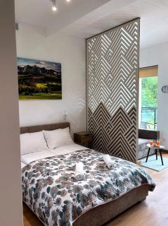 Nowopowstałe apartamenty Premium A10 I A11 I A12 z klimatyzacją i parkingiem podziemnym - Mountain & River Residence - IZBY PODHALAŃSKIE - od października ogólnodostępna sauna i jacuzzi W CENIE - 5